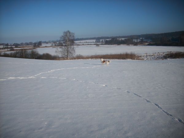Jezioro linowskie zimą