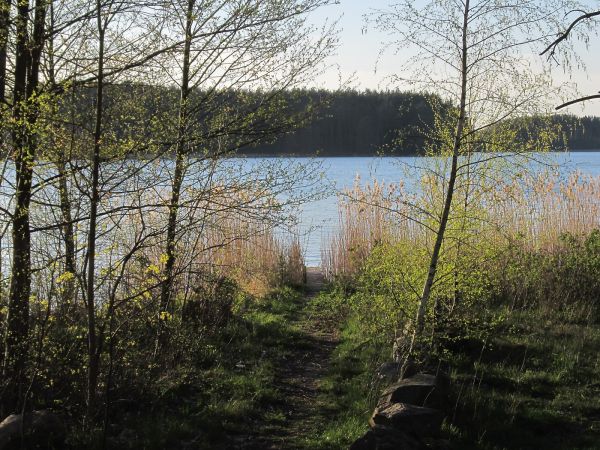 Widok na jezioro Wdzydze z terenu OW Jasnochówka