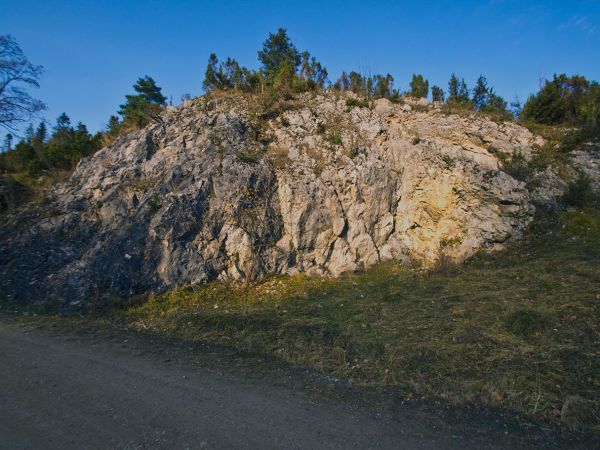 PIENINY-REZERWAT BIAŁA WODA