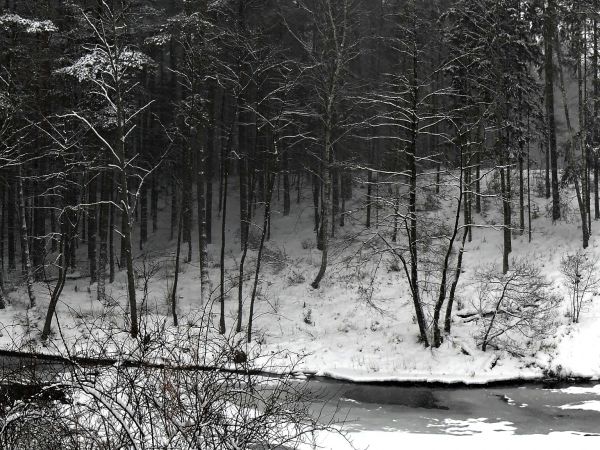 Fragment rzeki Wdy w Młyńsku przy moście drogowym
