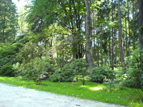 Park Szczytnicki