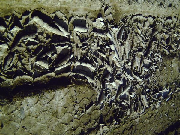 jednym słowem  susza