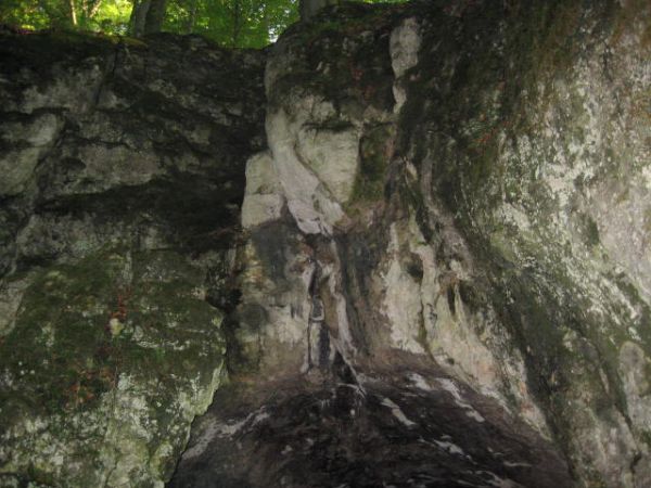 zdjecie Złoty Potok