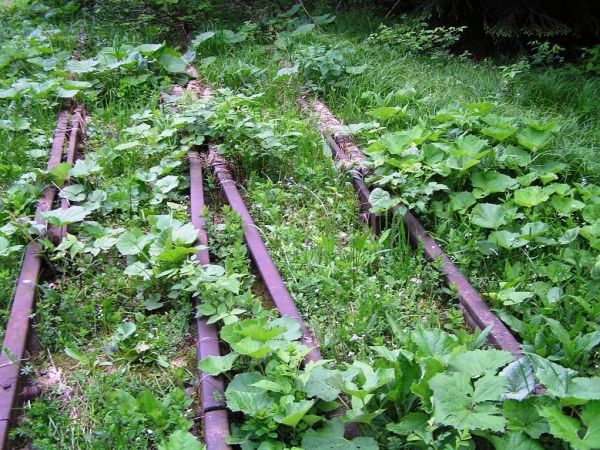 Ślady dawnej stacji w Moczarnem