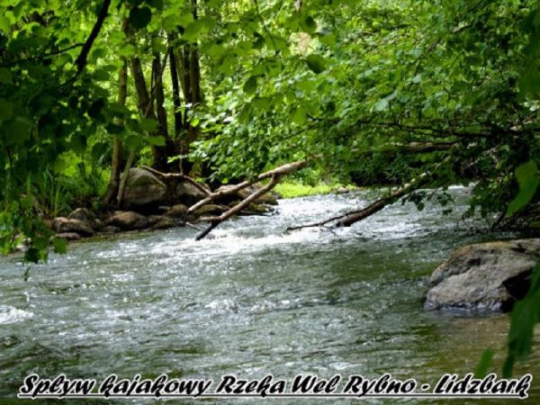 Dziewicza rzeka Wel na terenie Welskiego Parku Krajobrazowego, teren objęty programem NATURA 2000 na odcinku Rybno - Lidzbark