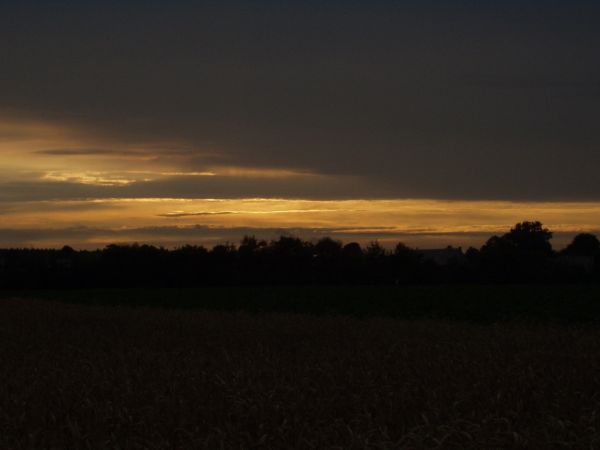 Idzie noc, cicha noc, ciemna noc.