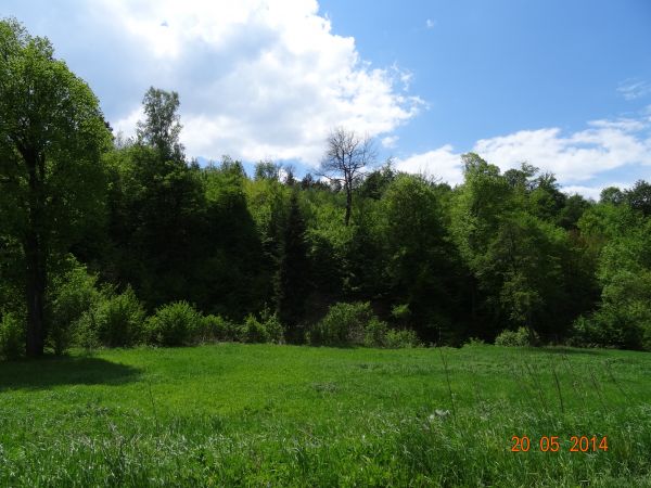 z mediów wiemy ale i też napotkani po drodze i we wsi poprzedniej na trasie rajdu - iż w zalesionych partiach górskich pasm, tu w okolicy "kudłacz" rządy sprawu