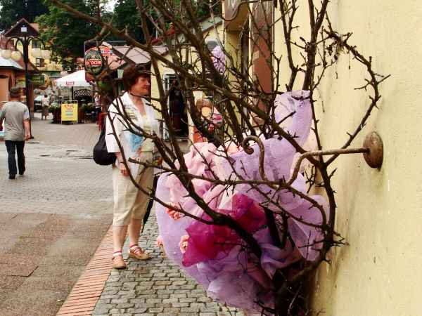 zdjecie Polanica-Zdrój