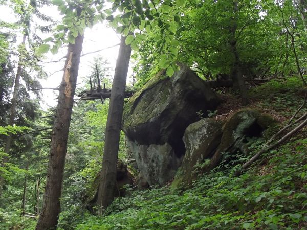 różne formy skalne w Paśmie Kamienia, tam do II-giej wojny światowej materiał pozyskiwano do pracowni kamieniarskich i wytwarzano nagrobne krzyże, figury, koła