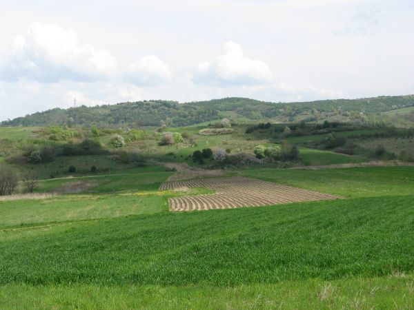 tereny przysiółka Korskie i tam potok co do Osławy przed Tarnawą, przed rozdrożem na Czaszyn...a ze wzgórza Makówki : panorama na San - na Lesko...