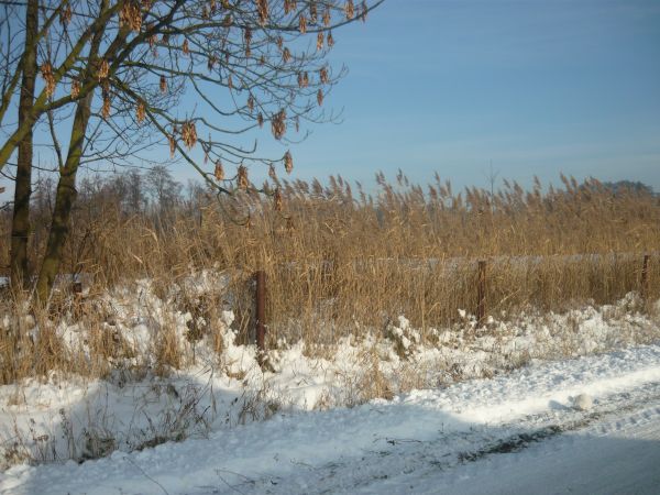 zdjecie Wola Wężykowa