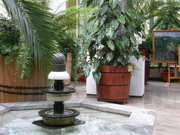 Nałęczów - palmy w Pijalni Wód Mineralnych