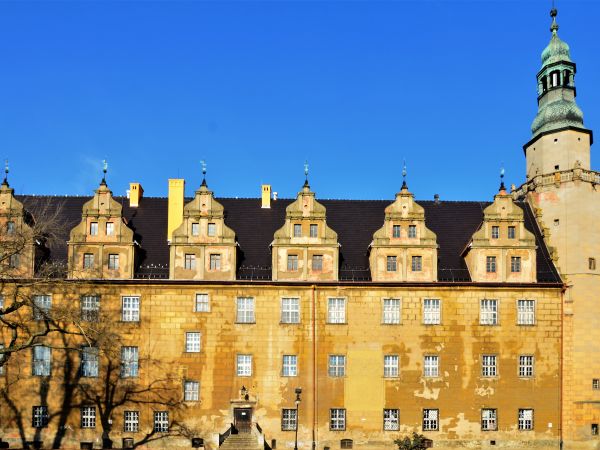 Zamek Książąt Piastowskich w Oleśnicy