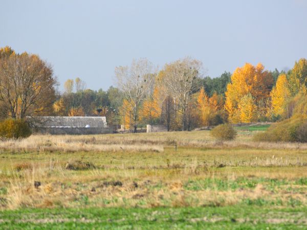 widok z ,,kameneczyny,, przez ,,kułaszowku,, na PGR