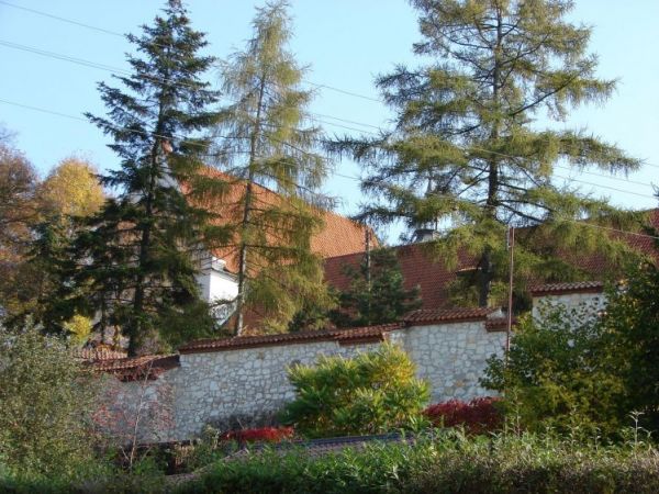 zdjecie Kazimierz Dolny