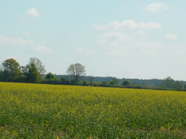 zdjecie Wola Wężykowa