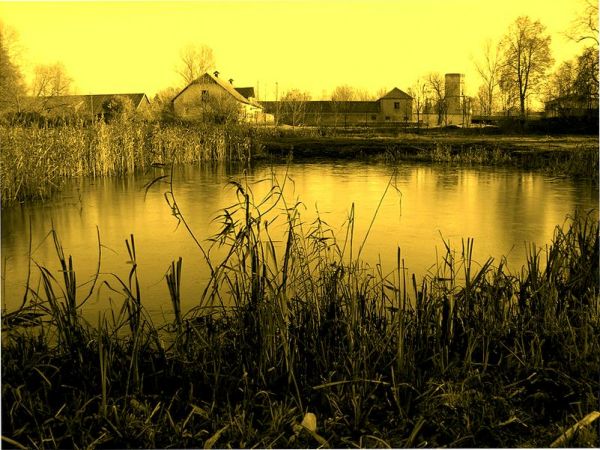 Teren letniego pałacyku Branickich w Choroszczy