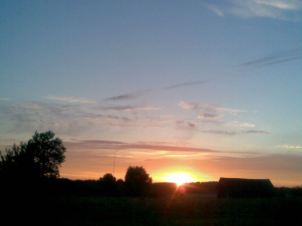 Letniki wieczorową porą ( widok od strony lasu)