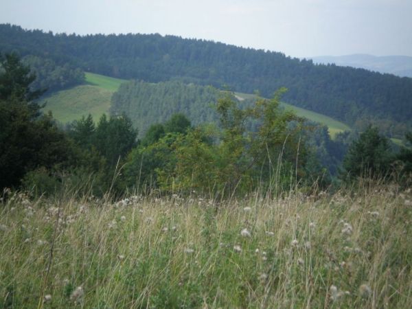 zdjecie Bereżnica Wyżna