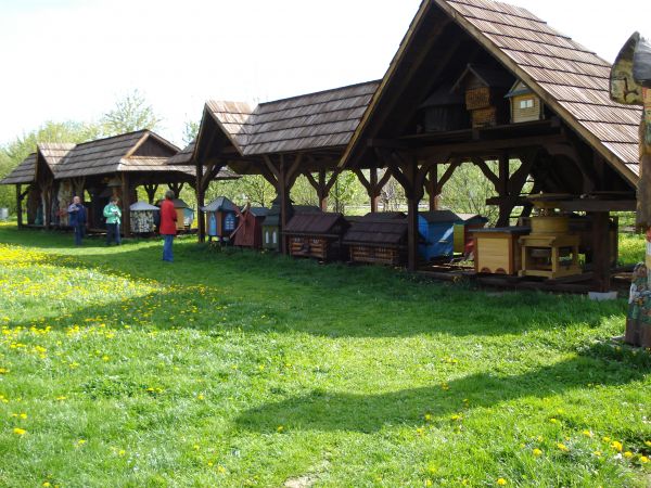 Muzeum pszczelarstwa