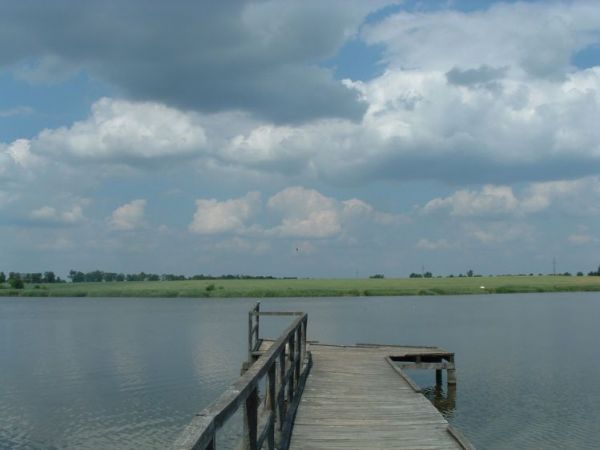 Zalew Brzózki Byczyna