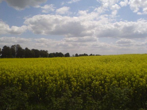 zdjecie Polska Wieś