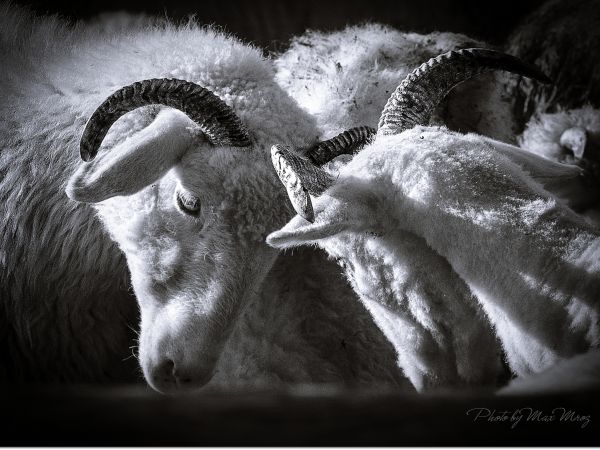 Konkurencja jest duża ...