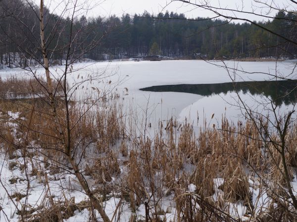 dzikie jeziorko- pomnik przyrody