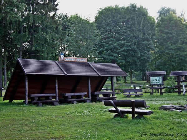 Borne Sulinowo. Ścieżka Edukacyjno-Przyrodnicza.   autor: Magdalena Kucyrka