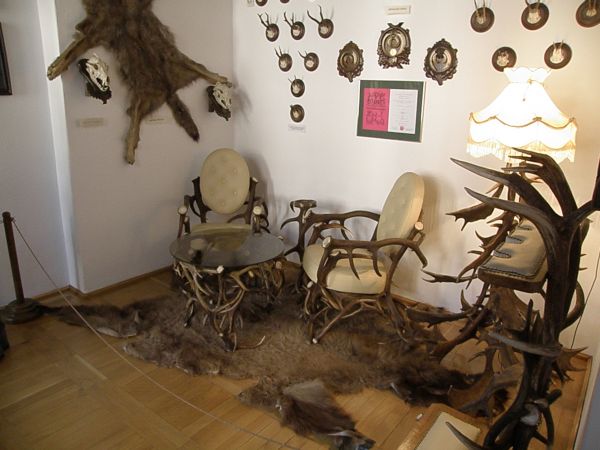 Zbiory muzeum leśnictwa