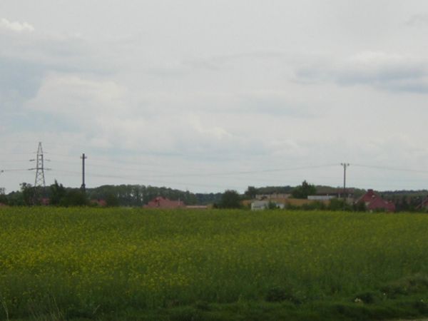 zdjecie Sulechów