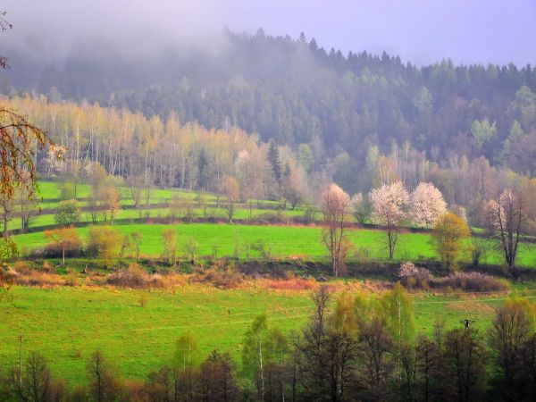 zdjecie Lądek-Zdrój