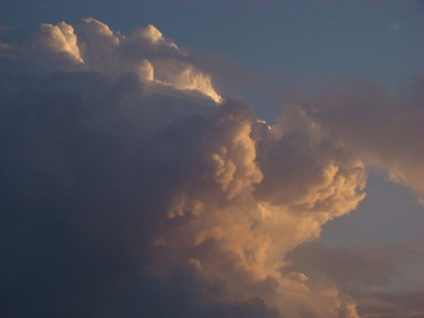 BURZA W kSIĄŻENICACH 2010R.