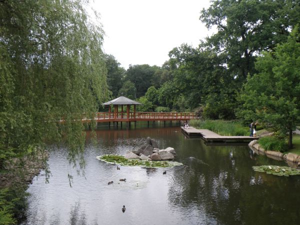 Tajemniczy ogród......japoński w Parku Szczytnickim (obok Hali Stulecia i grającej fontanny)