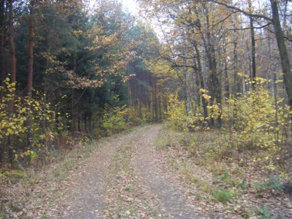 zdjecie Domaszkowice