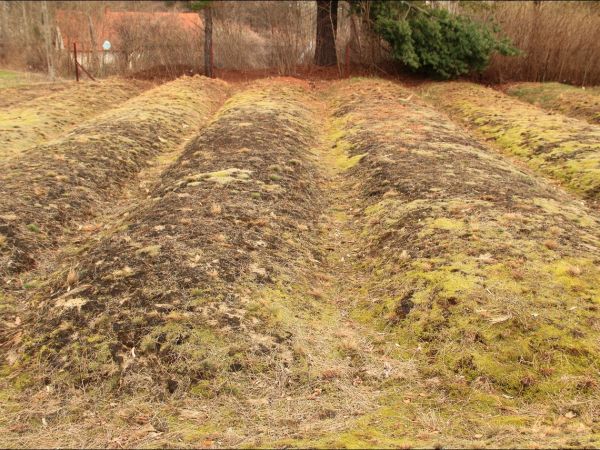 Cmentarz wojenny z okresu I Wojny Światowej w Mołodyczu.