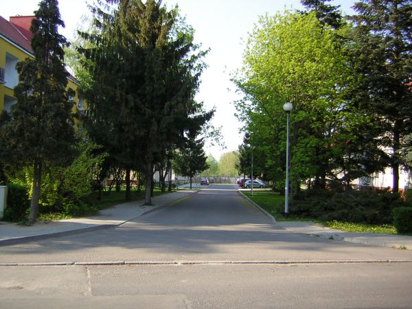 zdjecie Sulechów
