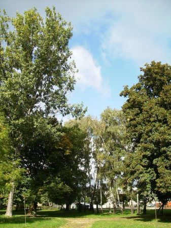 zdjecie Sulechów