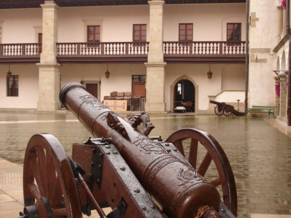 zdjecie Niepołomice