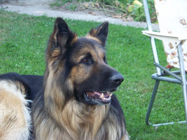 I jeszcze raz Brutus