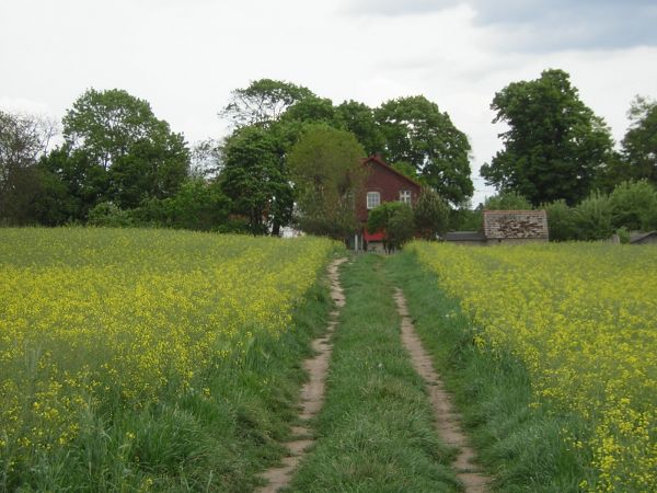 zdjecie Sulechów