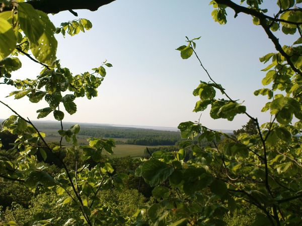 Wysokość ok 75 m.n.p.m, widok na jezioro Łebsko, dalej Morze