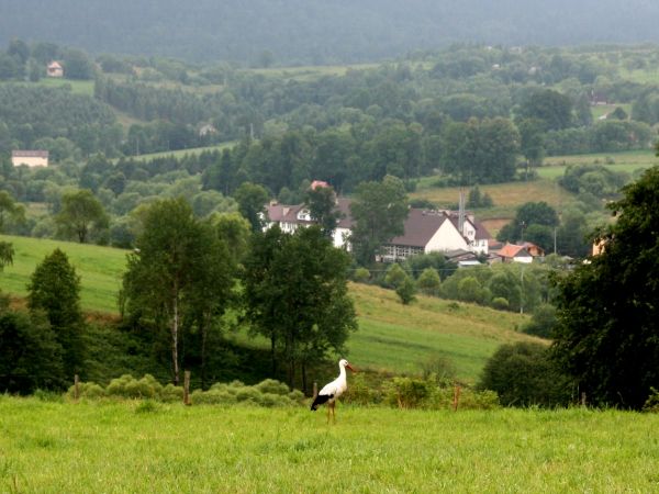 Pewno komuś w Lutowiskach coś przybędzie.