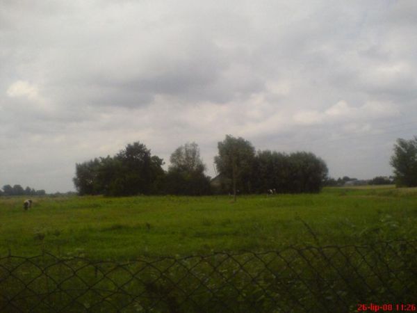 zdjecie Oblekoń