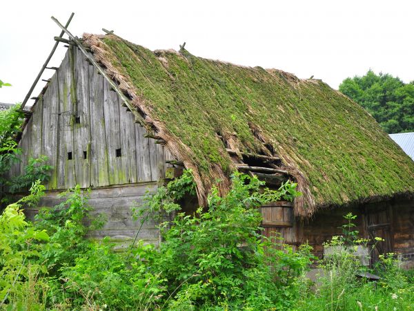 zdjecie Nowa Złotoria