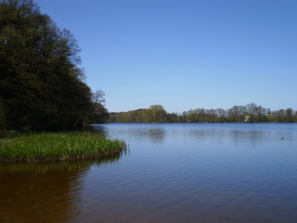 Jezioro Sarcz - widok ze starej plaży