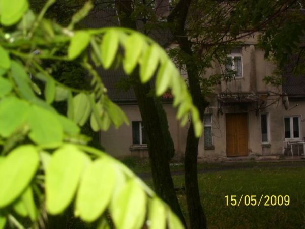 zdjecie Dobieszewice