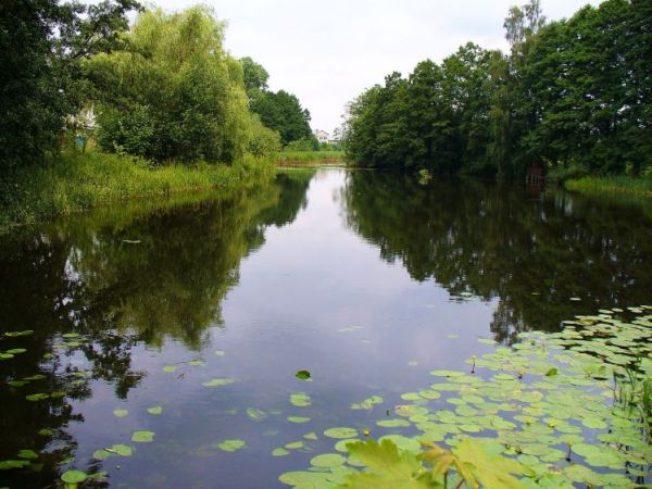 Widok z ul. Młyńskiej na rzekę "Wdę".