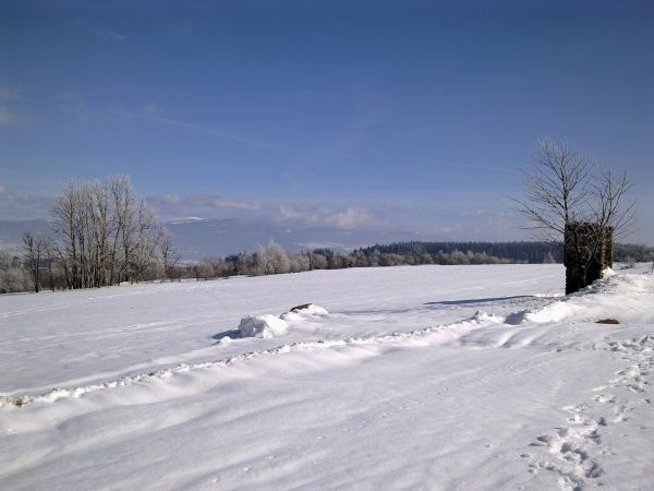 Różanka - żółtym szlakiem na Bochniak (713 m n.p.m.)