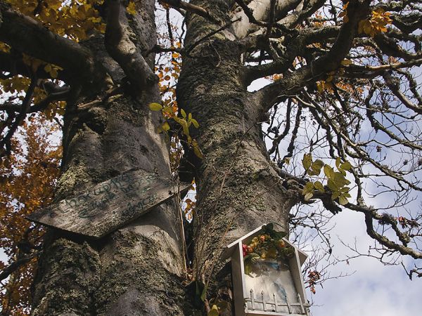 zdjecie Sucha Dolina